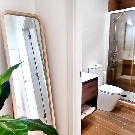 El Sireno De Vigo, Centrico, Amplio Y Acogedor Apartment Vigo